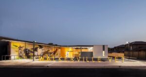 vet at night
