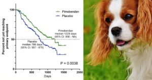 Vetmedin heart treatment