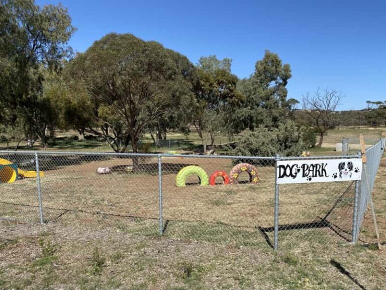 27 Dog Parks In Country South Australia Walkerville Vet