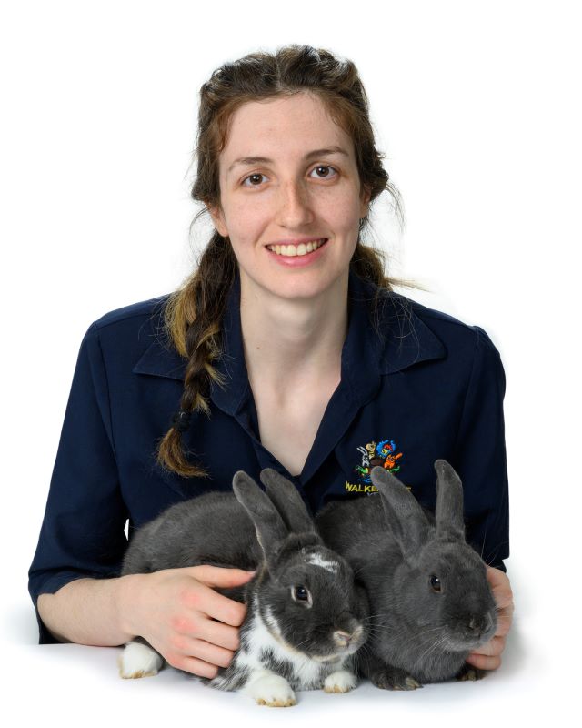Meet Our Vets & Nurses Adelaide Vet Clinic Walkerville Vet